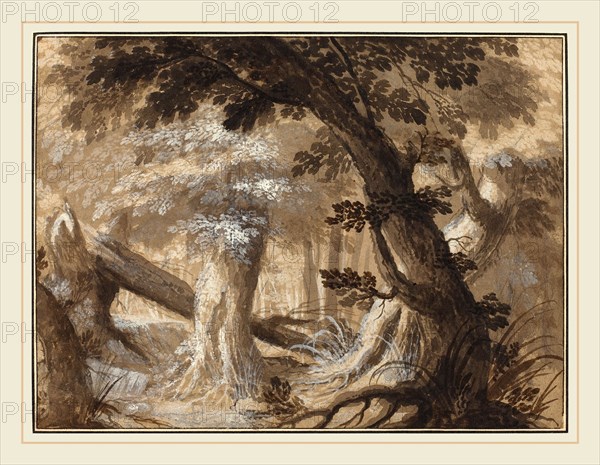 Flemish 17th century, Forest Interior, c. 1610, pen and brown ink and wash over graphite with white heightening on laid paper