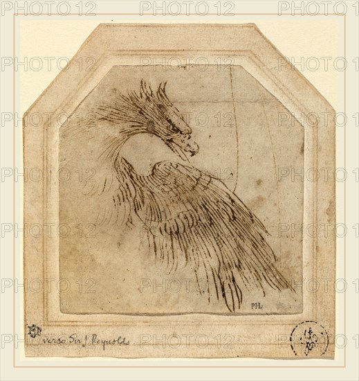 Titian, Italian (c. 1490-1576), An Eagle, c. 1515, pen and brown ink on laid paper; laid down on decorated mount