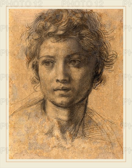 Andrea del Sarto, Italian (1486-1530), Head of Saint John the Baptist, c. 1523, black chalk on paper laid down on panel