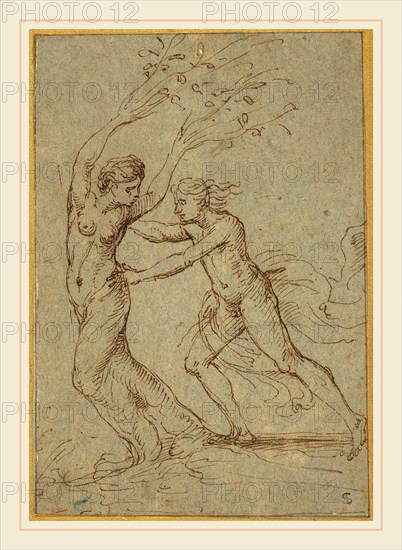 Giulio Romano, Italian (1499-1546), Apollo and Daphne, pen and brown ink on blue-gray laid paper