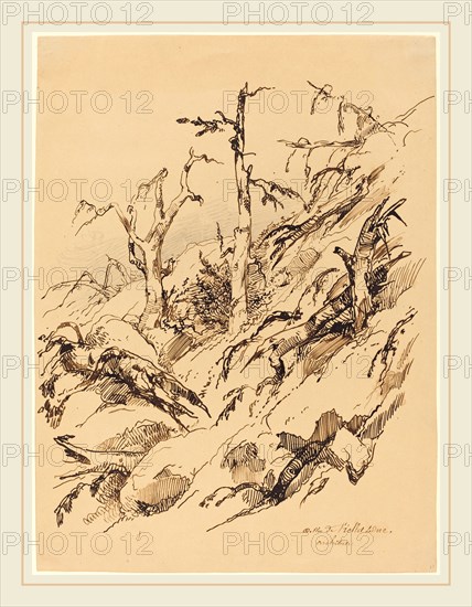 Adolphe Etienne Viollet-Le-Duc II, French (1817-1878), A Tree and Rocks, pen and iron gall ink,with graphite on wove paper