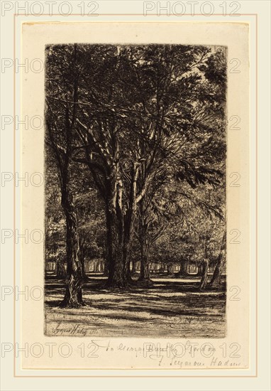 Francis Seymour Haden, British (1818-1910), Kensington Gardens (The Larger Plate), 1860, etching with drypoint