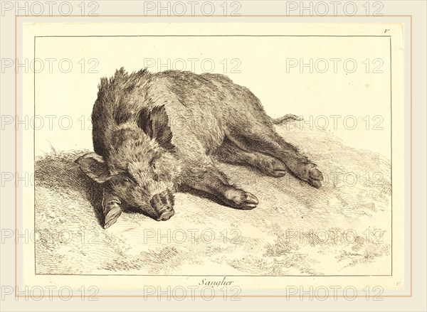 Jacques-Philippe Le Bas and Jean Eric Rehn after Jean-Baptiste Oudry (Swedish, 1717-1793), Sanglier (Wild Boar Lying Down, Head to the Left), etching finished with burin