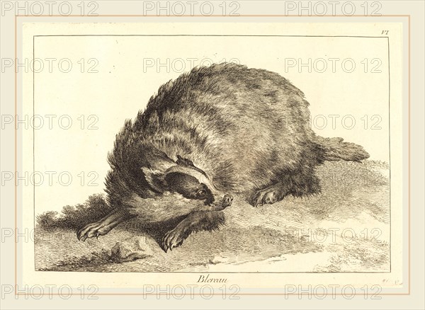 Jacques-Philippe Le Bas and Jean Eric Rehn after Jean-Baptiste Oudry, French (1707-1783), Blereau (Badger), etching finished with burin