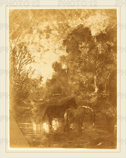 Charles-FranÃ§ois Daubigny, French (1817-1878), Two Horses at a Watering Place (Les Deux chevaux a l'abreuvoir), c. 1859-1862, cliche-verre (salt print) in brown