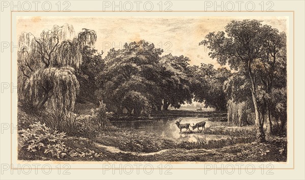 Charles-FranÃ§ois Daubigny, French (1817-1878), Pool with Deer (La Mare aux cerfs), 1845, etching