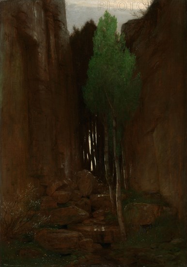 Quell in einer Felsschlucht (Spring in a Narrow Gorge)