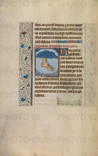 Christ's Left Foot with Wound