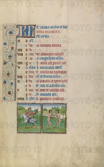 A Man Hawking, Zodiacal Sign of Gemini