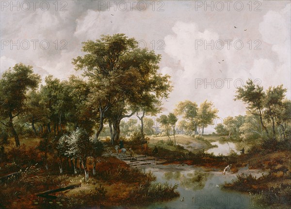 A Wooded Landscape