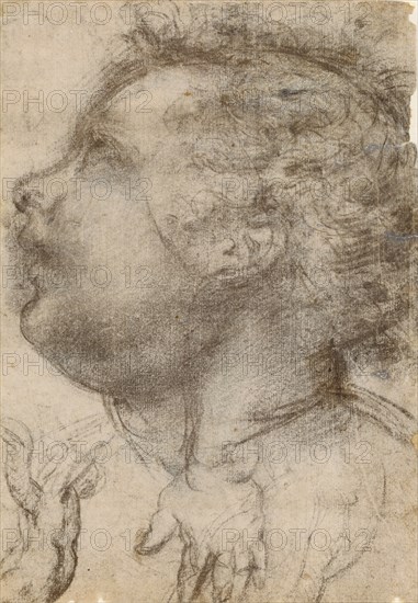 Head of a Child, an Angel and a Hand (recto),  Male Figure (vers