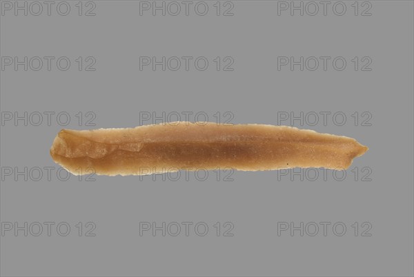 Sickle Blade, 1980-1801 BC. Egypt, Middle Kingdom, Dynasty 12. Flint; overall: 5 cm (1 15/16 in.).