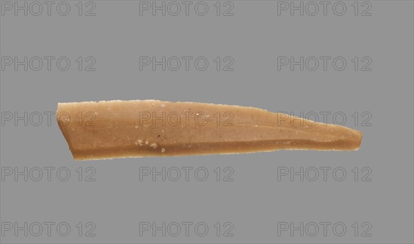 Sickle Blade, 1980-1801 BC. Egypt, Middle Kingdom, Dynasty 12. Flint; overall: 5 cm (1 15/16 in.).