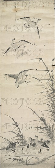 Wild Geese and Reeds, 1392-1910. Korea, Joseon dynasty (1392-1910). Black and white on paper; including mounting: 70.8 x 223.6 cm (27 7/8 x 88 1/16 in.).