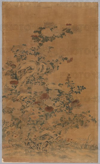 K'o Ssu Panel: Rocks and Chrysanthemums, 1700s - 1800s. China, Qing Dynasty (1644-1912). Silk, embroidered; overall: 101 x 58.4 cm (39 3/4 x 23 in.).