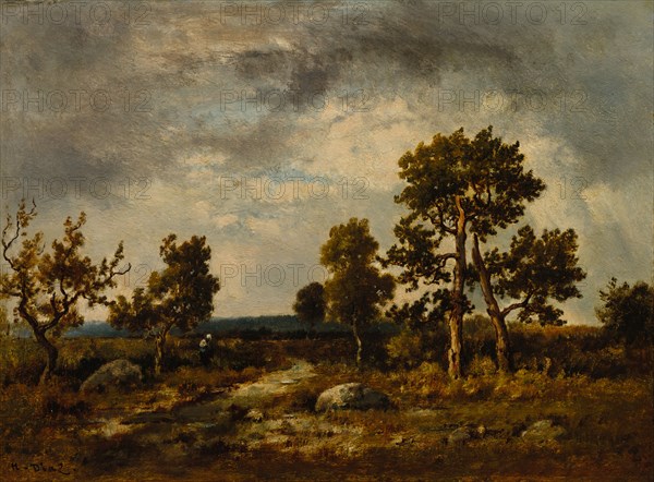 Path Near the Pond of Vipers, Fontainebleau Forest, c. 1860s. Narcisse Diaz de la Peña (French, 1807-1876). Oil on wood panel; unframed: 26.7 x 36.2 cm (10 1/2 x 14 1/4 in.)