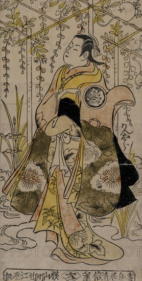 Sanjo Kantaro as a Young Woman Standing in a Wisteria Arbor, c. early or mid 1730s. Torii Kiyonobu I (Japanese, 1664-1729). Color woodblock print; sheet: 29.8 x 15.2 cm (11 3/4 x 6 in.).