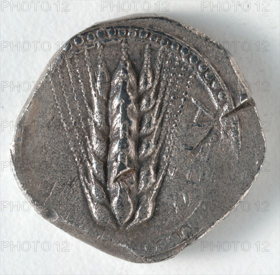Stater: Ear of Corn (obverse), 530-510 BC. Greece, Matapontum, 6th century BC. Silver; diameter: 2 cm (13/16 in.).