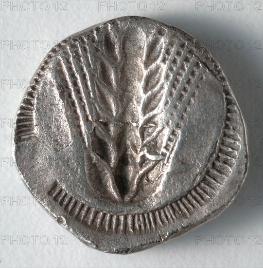 Stater: Ear of Corn incuse [stamped in] (reverse), 530-510 BC. Greece, Matapontum, 6th century BC. Silver; diameter: 2 cm (13/16 in.).