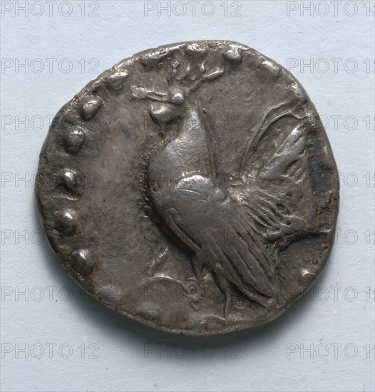 Aegineatan Drachm: Rooster (obverse), c. 482 BC. Greece, 5th century BC. Silver; diameter: 2 cm (13/16 in.).