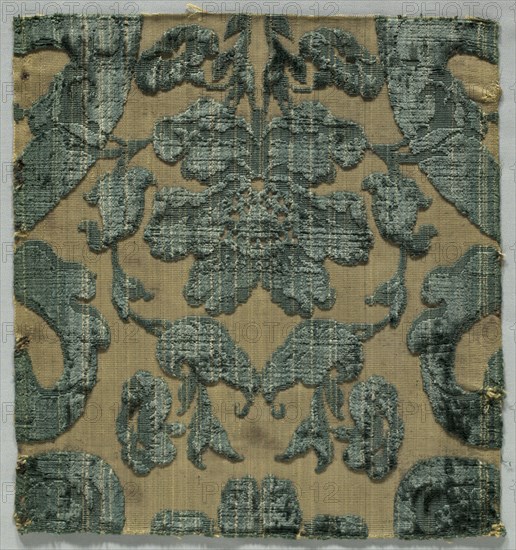 Velvet Fragment, early 1600s. Italy, early 17th century. Velvet; overall: 31.5 x 29.3 cm (12 3/8 x 11 9/16 in.).