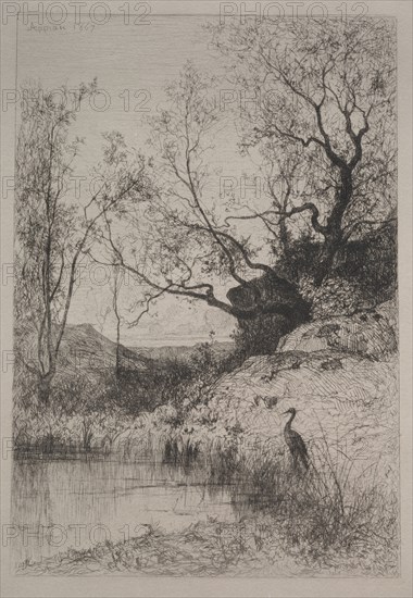 A Pond, 1867. Adolphe Appian (French, 1818-1898). Etching; secondary support: 40.5 x 32.7 cm (15 15/16 x 12 7/8 in.); plate: 31.9 x 24 cm (12 9/16 x 9 7/16 in.)