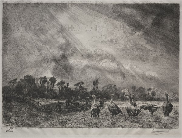 The Storm Cloud, 1878-1887. Félix Bracquemond (French, 1833-1914). Etching; sheet: 31.8 x 40.6 cm (12 1/2 x 16 in.); platemark: 26.3 x 35 cm (10 3/8 x 13 3/4 in.).