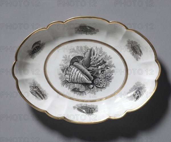 Oval Dish, 1807-1813. Barr, Flight & Barr (British). Porcelain; overall: 28.3 x 20.4 cm (11 1/8 x 8 1/16 in.).