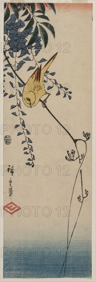 Canary and Wisteria, mid-1840s. Ando Hiroshige (Japanese, 1797-1858). Color woodblock print; overall: 33.7 x 11.5 cm (13 1/4 x 4 1/2 in.).