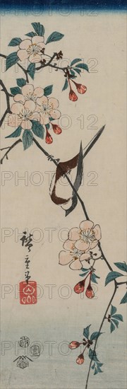 Small Bird (Swallow ?) on Cherry Branch, 1854. Ando Hiroshige (Japanese, 1797-1858). Color woodblock print; overall: 34.4 x 11.5 cm (13 9/16 x 4 1/2 in.).