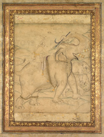 Portrait of Emperor Jahangir Riding an Elephant, first half of the 18th century. India, Mughal Dynasty (1526-1756). Drawing; image: 23.3 x 16 cm (9 3/16 x 6 5/16 in.); overall: 34.9 x 27.9 cm (13 3/4 x 11 in.).