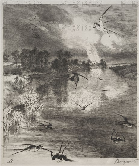 Swallows, 1882. Félix Bracquemond (French, 1833-1914). Etching; sheet: 42 x 33.1 cm (16 9/16 x 13 1/16 in.); platemark: 32.5 x 28.1 cm (12 13/16 x 11 1/16 in.).