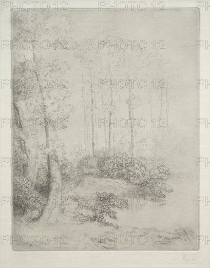 Edge of the Water (Au Bord de L'Eau). Alphonse Legros (French, 1837-1911). Etching