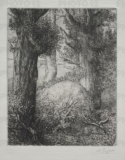 Tumulus gaulois. Alphonse Legros (French, 1837-1911). Etching