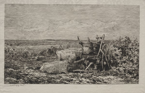 Published  L'Album of la Société des Aquafortistes in May, 1865.: The Grape Harvest, 1865. Charles François Daubigny (French, 1817-1878), Alfred Cadart. Etching and drypoint; sheet: 27.5 x 44.1 cm (10 13/16 x 17 3/8 in.); platemark: 23.7 x 36.6 cm (9 5/16 x 14 7/16 in.)