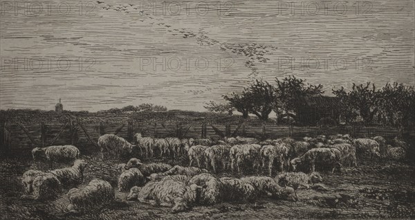 Published in l'Album de la Société des Aquafortistes, September 1862.: The Large Sheep-Fold, 1860. Charles François Daubigny (French, 1817-1878), Cadart. Etching; sheet: 28.1 x 44 cm (11 1/16 x 17 5/16 in.); platemark: 22.2 x 38.3 cm (8 3/4 x 15 1/16 in.).