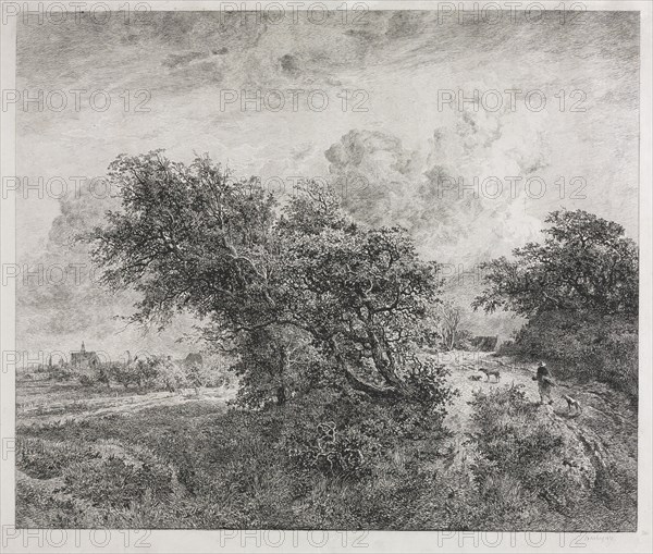 The Thicket, 1855. Charles François Daubigny (French, 1817-1878), after Jacob van Ruisdael (Dutch, 1628/29-1682). Etching; sheet: 39.7 x 47.5 cm (15 5/8 x 18 11/16 in.); image: 33 x 39.2 cm (13 x 15 7/16 in.)