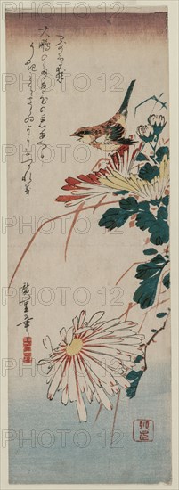 Warbler and Chrysanthemums, mid 1830s. Ando Hiroshige (Japanese, 1797-1858). Color woodblock print; overall: 38.2 x 12.8 cm (15 1/16 x 5 1/16 in.).