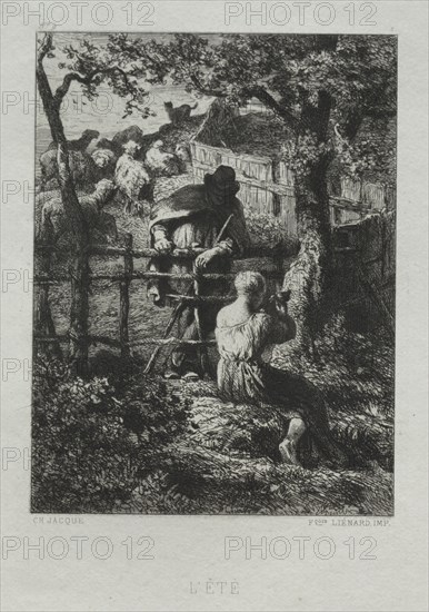 Summer Day. Charles-Émile Jacque (French, 1813-1894). Etching