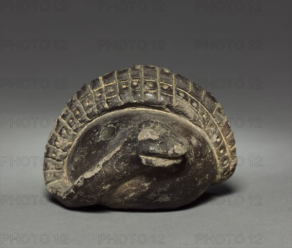 Coiled Snake, before 1921. Colombia. Pottery; diameter: 10.2 cm (4 in.); overall: 8.4 cm (3 5/16 in.).