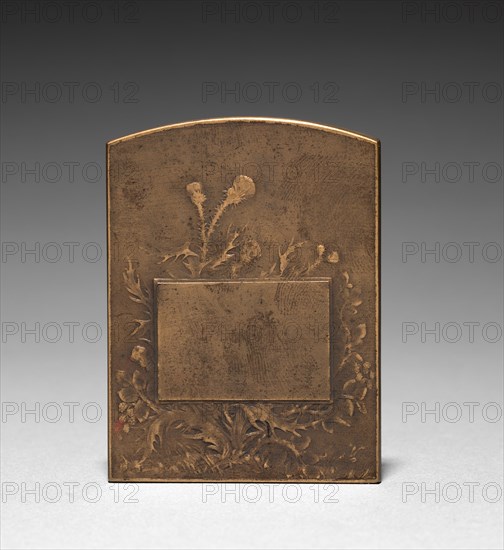Medallion (reverse). Marie Alexandre Lucien Coudray (French, 1864-1932). Bronze; overall: 6.7 x 5.1 cm (2 5/8 x 2 in.).