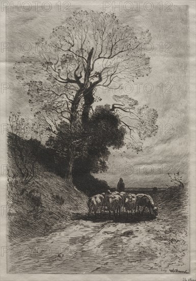 Return of the flock, c. 1870. Theophile Narcisse Chauvel (French, 1831-1909). Etching; sheet: 29.2 x 20.8 cm (11 1/2 x 8 3/16 in.); platemark: 23.7 x 16 cm (9 5/16 x 6 5/16 in.)