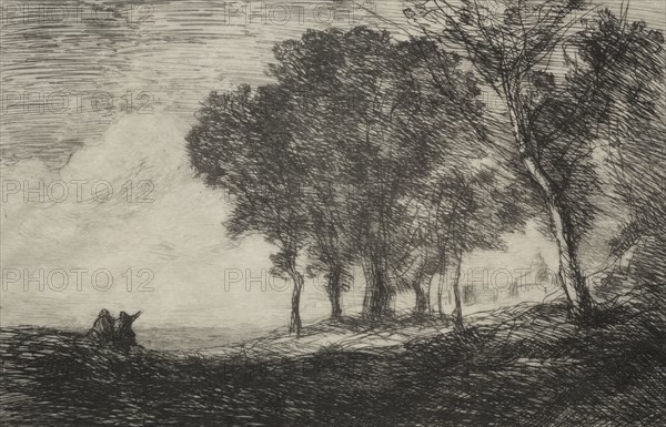 Italian Landscape, c. 1865. Jean Baptiste Camille Corot (French, 1796-1875). Etching; sheet: 28 x 39.6 cm (11 x 15 9/16 in.); platemark: 15.7 x 23.4 cm (6 3/16 x 9 3/16 in.)