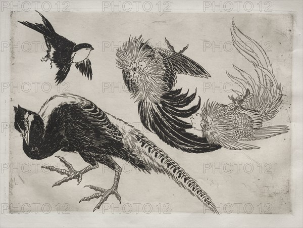 Dinner Service (Rousseau service): Pheasants and bird (no. 18), 1866. Félix Bracquemond (French, 1833-1914). Etching; sheet: 35.5 x 48.9 cm (14 x 19 1/4 in.); platemark: 24.6 x 34.5 cm (9 11/16 x 13 9/16 in.)