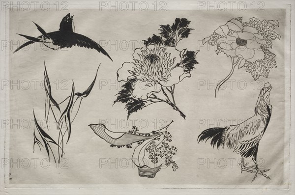 Dinner Service (Rousseau service): Swallow, Rooster and Flowers (no. 8), 1866. Félix Bracquemond (French, 1833-1914). Etching; sheet: 35.8 x 48.2 cm (14 1/8 x 19 in.); platemark: 27.5 x 42.6 cm (10 13/16 x 16 3/4 in.).
