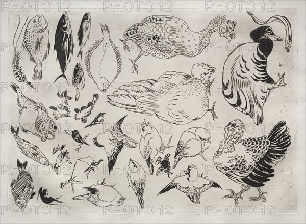 Dinner Service (Rousseau service): Ducks, fish, etc. (no. 12), 1866. Félix Bracquemond (French, 1833-1914). Etching; sheet: 35.3 x 48.9 cm (13 7/8 x 19 1/4 in.); platemark: 24.5 x 34.6 cm (9 5/8 x 13 5/8 in.).