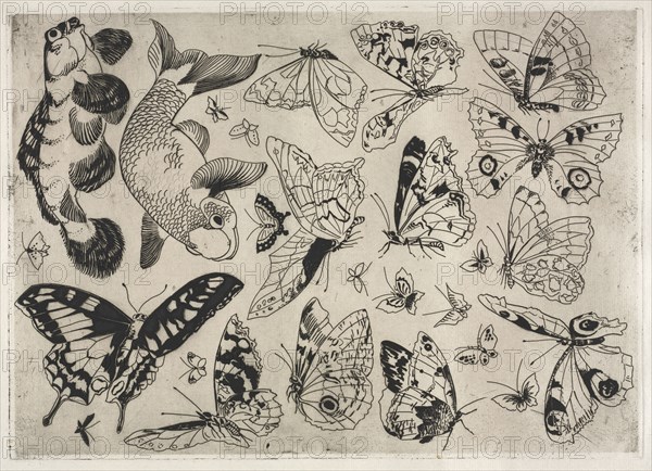 Dinner Service (Rousseau service): Butterflies and Fish (no. 16), 1866. Félix Bracquemond (French, 1833-1914). Etching; sheet: 36.5 x 54.2 cm (14 3/8 x 21 5/16 in.); platemark: 24.5 x 34.3 cm (9 5/8 x 13 1/2 in.).