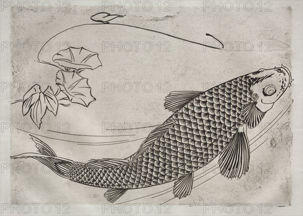 Dinner Service (Rousseau service): Large fish in a Japanese style (no. 19), 1866. Félix Bracquemond (French, 1833-1914). Etching; sheet: 35.4 x 48.2 cm (13 15/16 x 19 in.); platemark: 24.6 x 34.5 cm (9 11/16 x 13 9/16 in.)