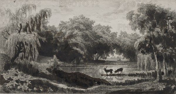 The Pool with Stags, 1845. Charles François Daubigny (French, 1817-1878). Etching, hand colored with watercolor; sheet: 15.6 x 26.4 cm (6 1/8 x 10 3/8 in.); image: 11.7 x 22.2 cm (4 5/8 x 8 3/4 in.)
