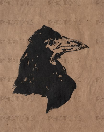 Raven Head. Edouard Manet (French, 1832-1883). Lithograph